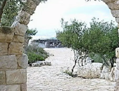 Jad Hashmonan ystävien päivät Kiponniemessä 15.-17.9.2023