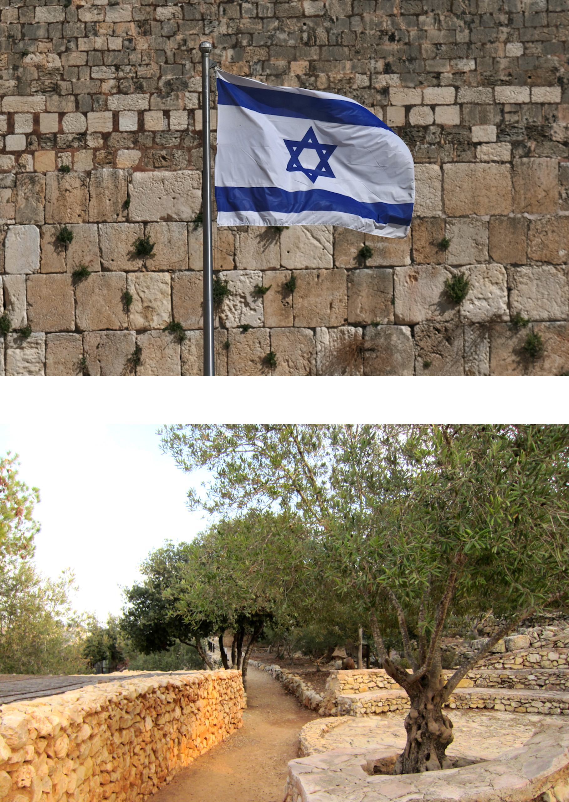 Israel-lippu-Jad-puutarha-4